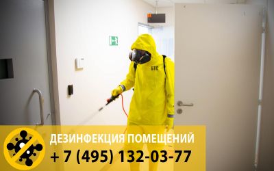 Во время пандемии, в салонах красоты так же проводятся очаговые заключительные и профилактические дезинфекции.