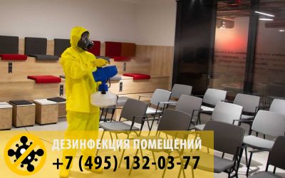 Противовирусная дезинфекция помещений