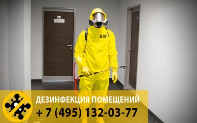 Согласно рекомендациям Роспотребнадзора в образовательных учреждения обязательно должна проводится противовирусная обработка-дезинфекция.